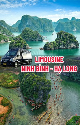 Limousine Ninh Binh Hạ Long