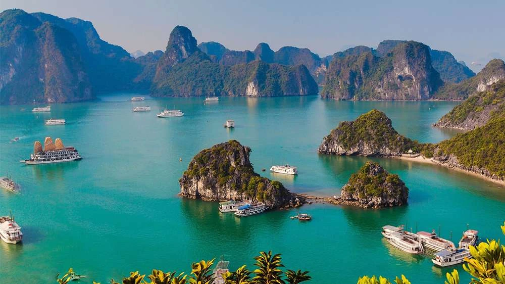 Dịch vụ 5 sao limousine hạ long ninh binh